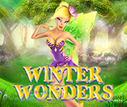 Winter Wonders